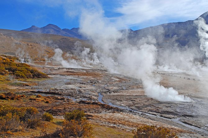 El Tatio Geysers Tour from San Pedro de Atacama - El Tatio geyser field: what your walk actually feels like