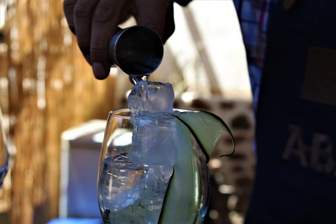 Elqui Valley and Vicuna Private Tour Including Lunch - Pisco Elqui distillery tour and tastings that actually teach