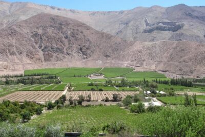 Elqui Valley and Vicuna Private Tour Including Lunch