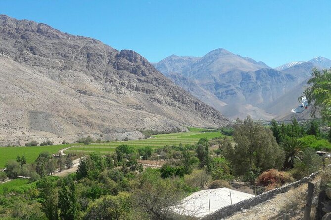 Elqui Valley Tour: History and Flavors (NOT FOR CRUISES) - A La Serena to Elqui Valley route that actually makes sense
