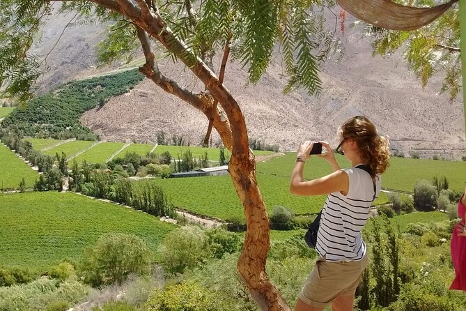 Elqui Valley Tour: History and Flavors (NOT FOR CRUISES) - Stop 1 in La Serena: a warm start in Chile’s older city