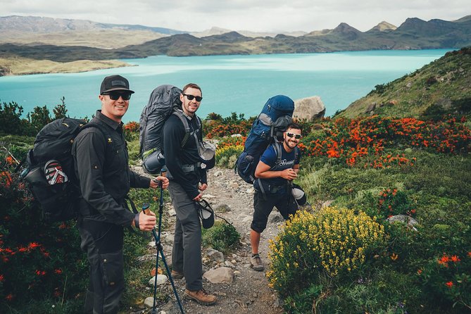 Epic Patagonia: Torres del Paine - 'W' Trek - Day 6: Grey Glacier day, with Pehoé Lake and Grey Lake