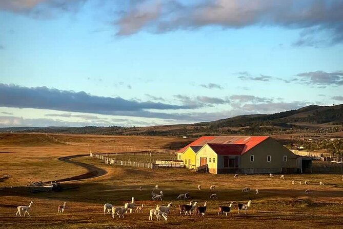 Estancia ,de la comuna de Laguna Blanca - The Working-Estancia Feel You Actually Want in Patagonia
