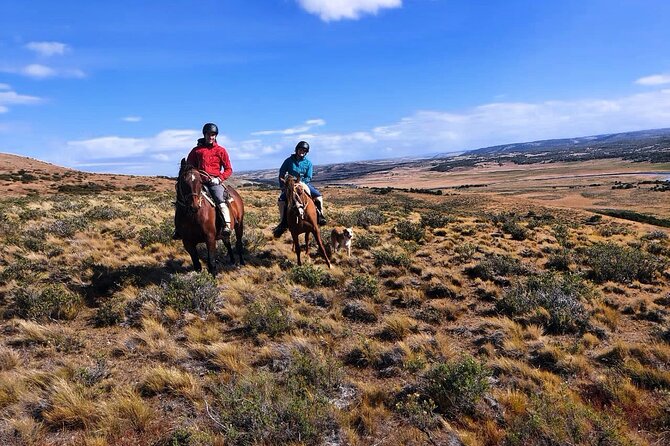 Estancia ,de la comuna de Laguna Blanca - Should You Book This Estancia Tour From Punta Arenas?