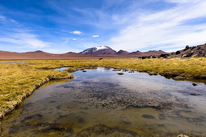 Expedition to Ruta de los Salares + Culinary Delights - Salar de Quisquiro: Salt Texture Under Your Feet and Flamingos Nearby