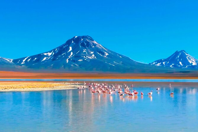 Expedition to Ruta de los Salares + Culinary Delights - Food on the Road: Why the Meals Matter at 4,000 Meters Plus