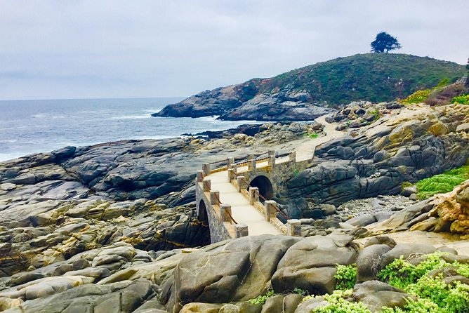 Fr STGO: WILD PENGUINS, SEALION, SANDBOARD, PARAGLIDING & PICNIC - Penguins, Sealions, Dunes, and Picnic Wine, in One Long Day