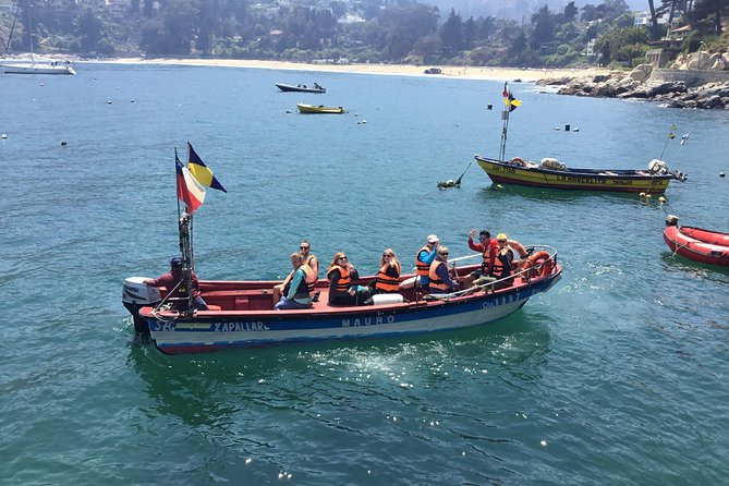Fr VALPO: WILD PENGUINS, SEALION, SANDBOARD, PARAGLIDING & PICNIC - Zapallar Beach Boat Ride: Humboldt Penguins, Sea Lions, and Wild Coast Timing