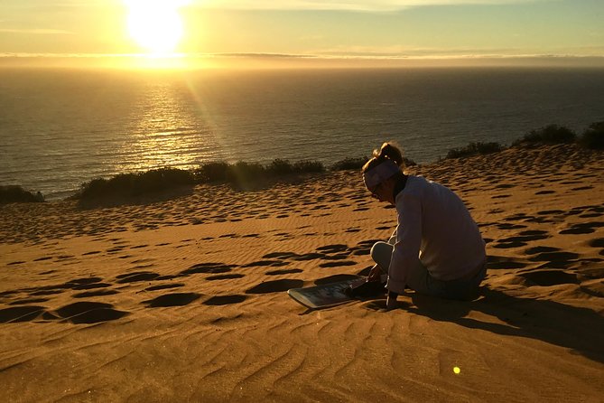 Fr VALPO: WILD PENGUINS, SEALION, SANDBOARD, PARAGLIDING & PICNIC - Concon Dunes Sandboarding: Shoes Off, No Skills Needed, Big View Energy