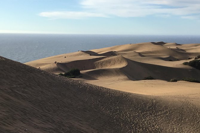 Fr VALPO: WILD PENGUINS, SEALION, SANDBOARD, PARAGLIDING & PICNIC - Price and Value: What $250 Covers and Where It Gets Good
