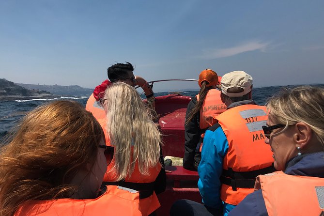 Fr VALPO: WILD PENGUINS, SEALION, SANDBOARD, PARAGLIDING & PICNIC - What to Bring for a Smooth Day: Wind, Water, and Dunes