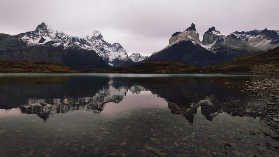 From El Calafate: Torres del Paine Full Day Tour - Waterfalls, Glaciers, and Bay Stops: What Else You May See on the Route