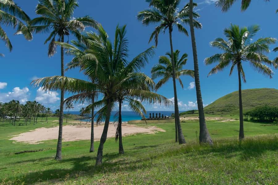 From Hanga Roa: Easter Island Highlights 2-Day Tour - Key highlights that make this tour worth your time