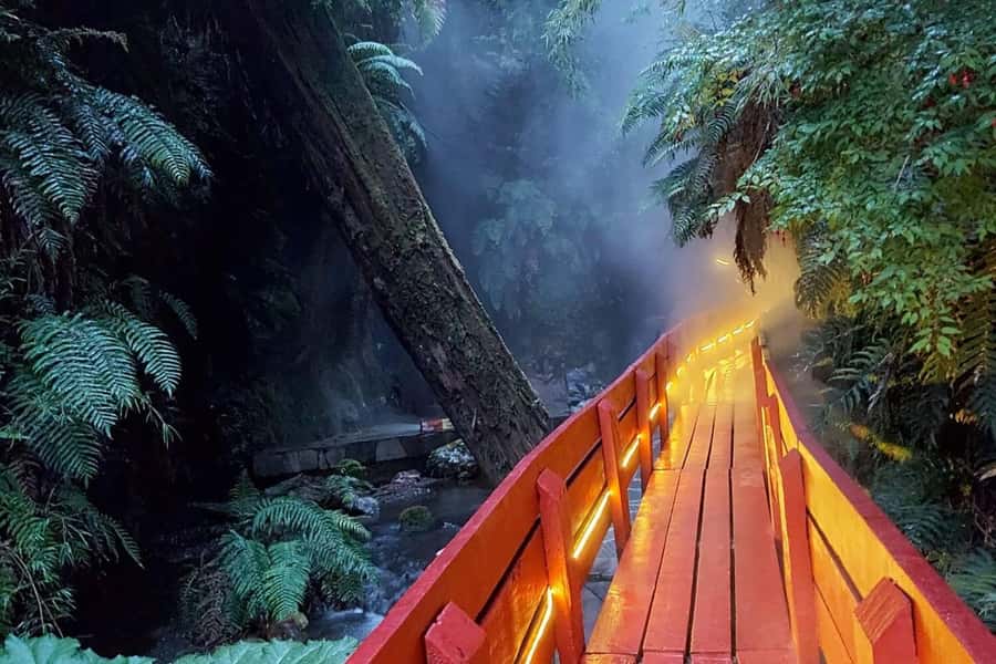 From Pucón: Geometric Hot Springs - Geometric Hot Springs in Villarrica National Park, the “shape” of the soak