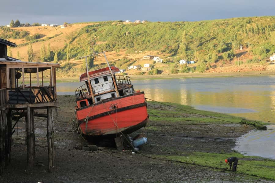 From Puerto Varas: Chiloe Island Full-day Tour - Key moments that make this Chiloe day trip worth it
