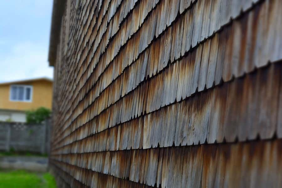 From Puerto Varas: Chiloe Island Full-day Tour - Price and value: what you really get for $72