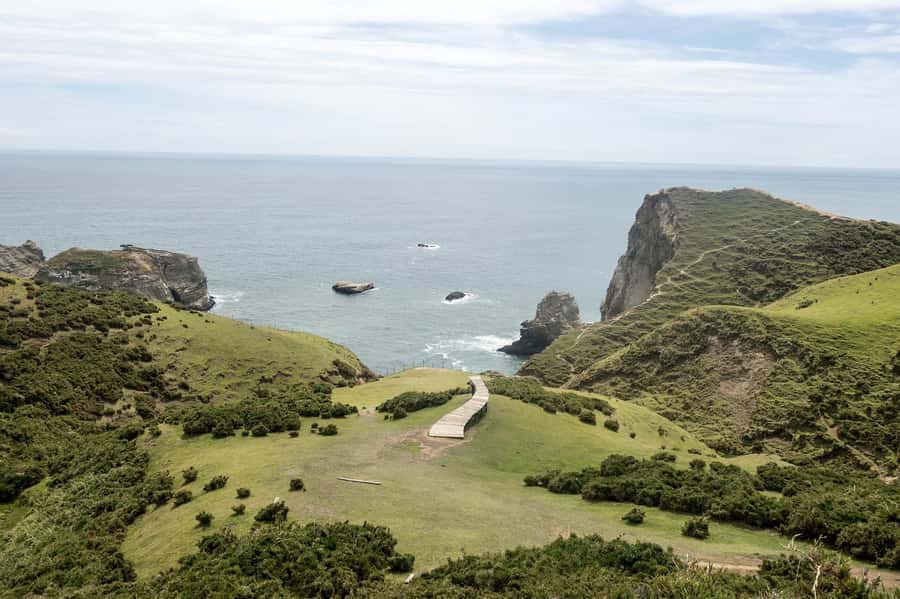 From Puerto Varas: Chiloe Island Full-day Tour - What to bring for Chiloe Island: ID, cash, and a few sanity savers