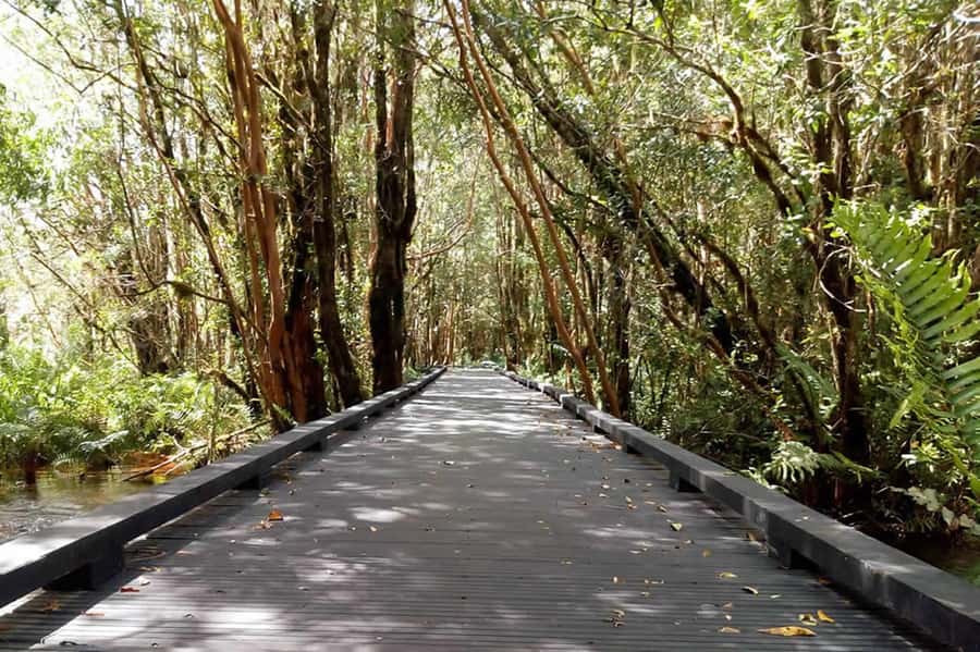 From Puerto Varas: Full Day to Termas del Sol & Cochamo Valley - Key points worth knowing before you go
