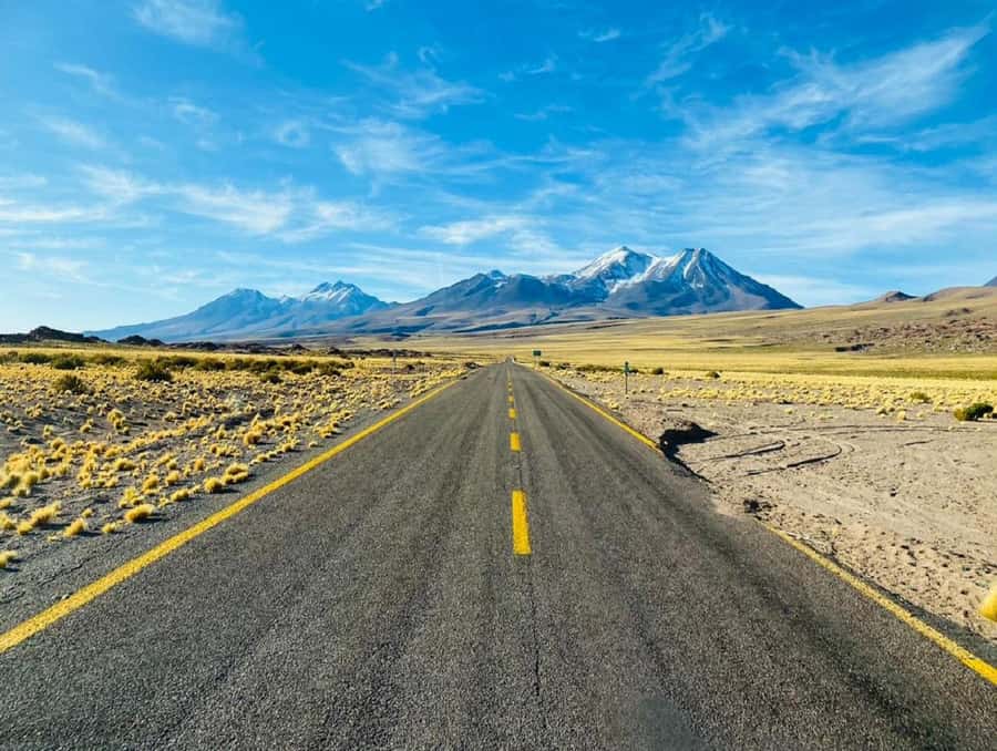 From San Pedro de Atacama: Lagoons and Piedras Reds - Key things worth knowing before you go