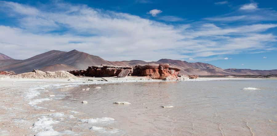 From San Pedro de Atacama: Lagoons and Piedras Reds - Who This Tour Fits Best (and Who Should Skip It)