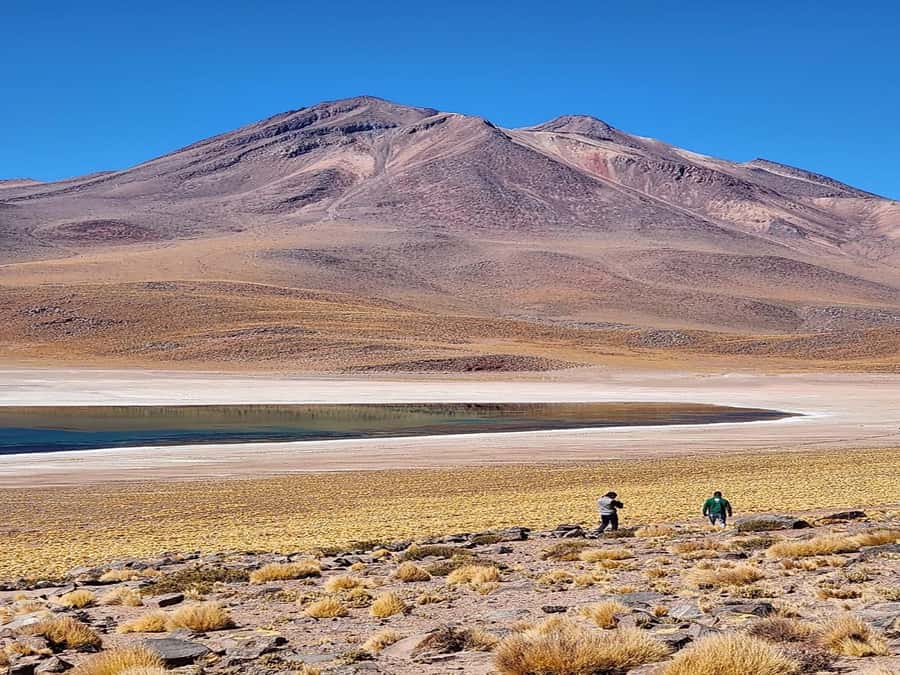 From San Pedro de Atacama: Lagoons and Piedras Reds - From San Pedro to Altitude: How the 12-Hour Route Feels