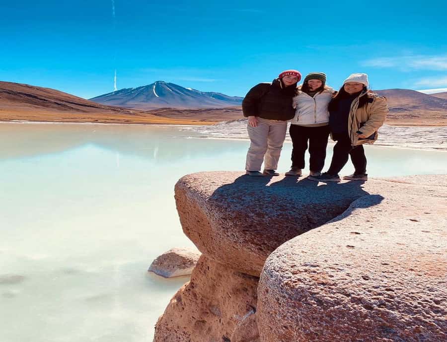From San Pedro de Atacama: Lagoons and Piedras Reds - Laguna Chaxa in Los Flamencos: Flamingos, Salt Flat Views, and Easy Walking