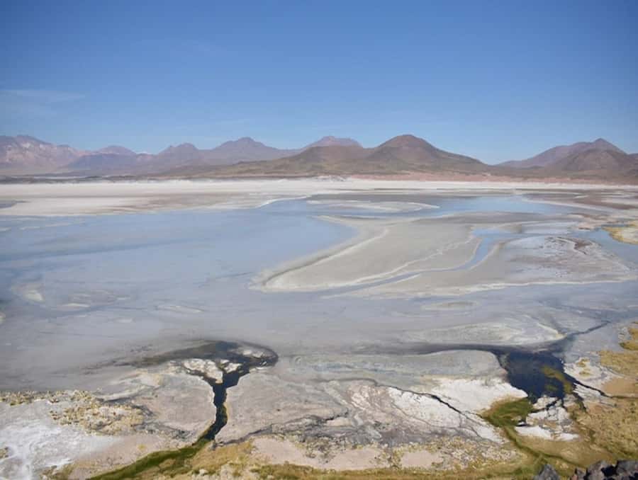 From San Pedro de Atacama: Lagoons and Piedras Reds - Price and Value: Is $99 Fair for This One-Day Loop?