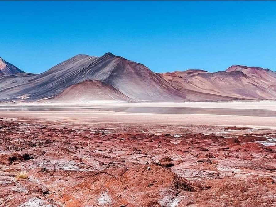 From San Pedro de Atacama: Lagoons and Piedras Reds - Toconao Town Stop: Crafts, Quiet Streets, and a Different Kind of Atacama