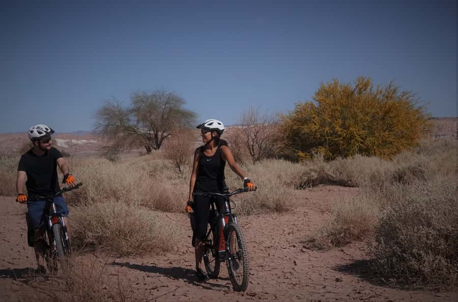 From San Pedro de Atacama: Laguna Cejar E-biking Adventure - Common practical questions before you go