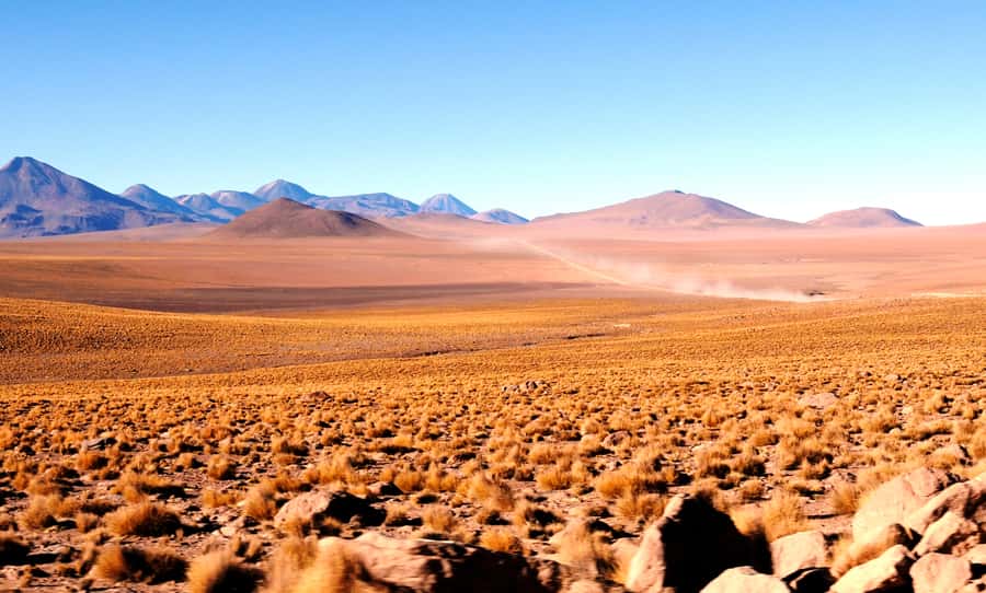 From San Pedro de Atacama: Tatio Geysers and Machuca Tour - Practical tips that make El Tatio more enjoyable