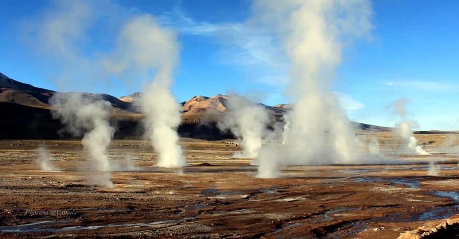 From San Pedro de Atacama: Tatio Geysers and Machuca Tour - El Tatio runoff turns into wetlands, and that’s where the wildlife comes in