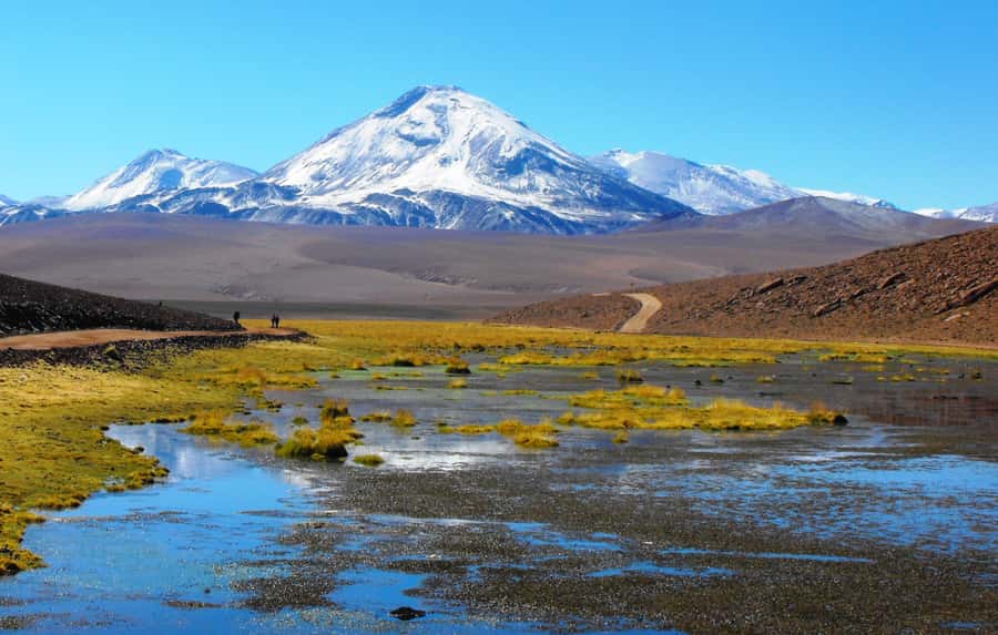 From San Pedro de Atacama: Tatio Geysers and Machuca Tour - Putana wetlands: nesting birds and a real viewpoint over the Altiplano