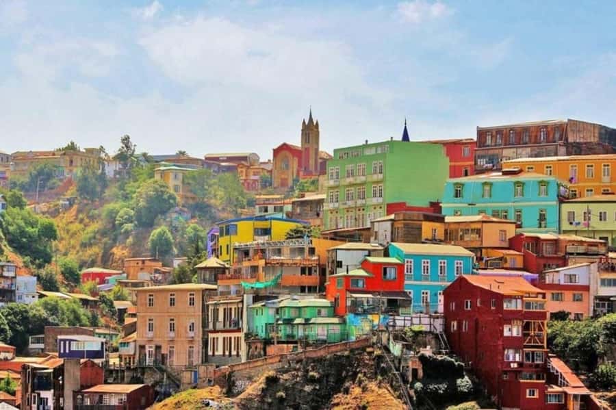 From Santiago: Highlights of Valparaiso and Viña del Mar - Caleta Portales: start with the port vibe and the sea lion chances