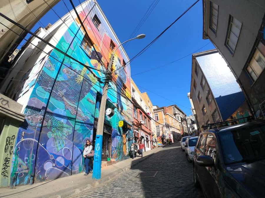 From Santiago: Highlights of Valparaiso and Viña del Mar - Cerro Concepción: where the guided story tightens
