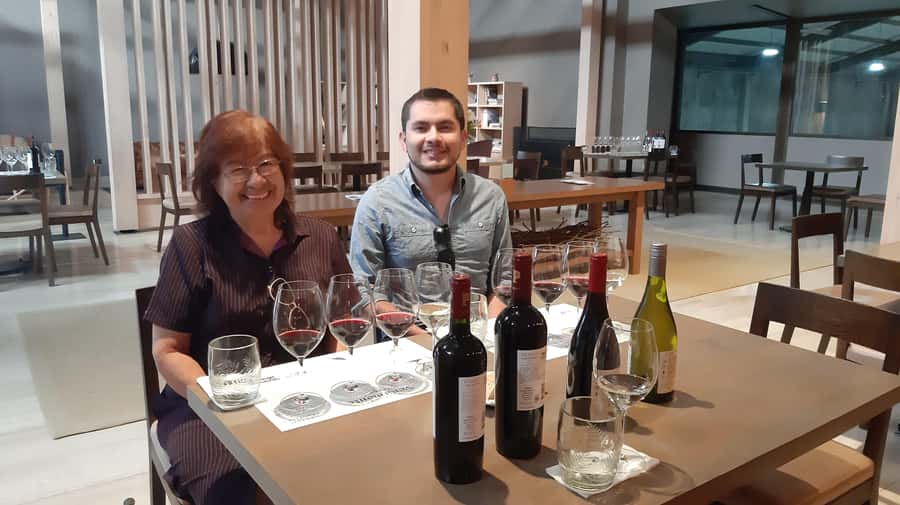 From Santiago: Isla Negra, Pablo Neruda Museum & Winery Tour - Price and Logistics, Including What’s Actually Included