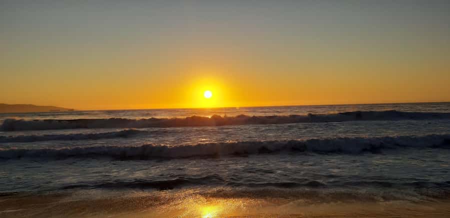From Santiago: Isla Negra, Pablo Neruda Museum & Winery Tour - What to Pack, Weather Reality, and Who Should Skip It