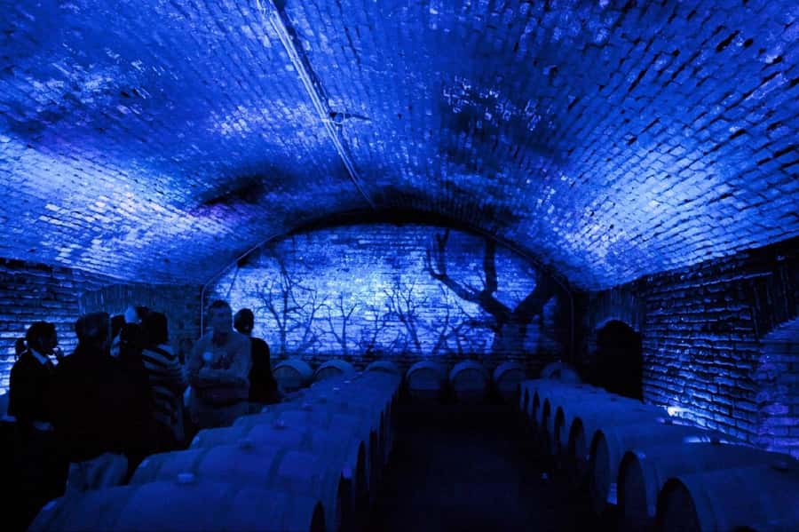 From Santiago: Maipo Valley Wine Tour - Maipo Valley From Santiago, the Wine Day You Can Actually Manage