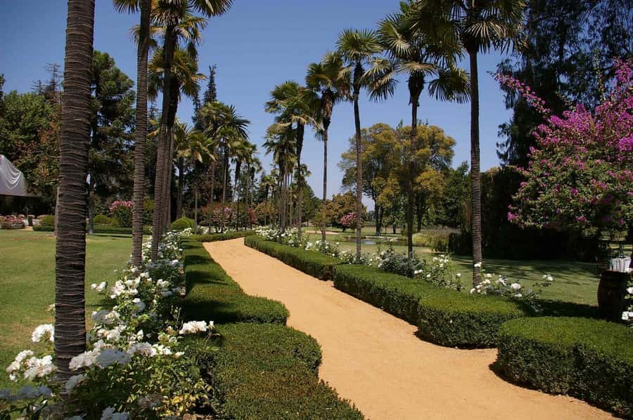 From Santiago: Maipo Valley Wine Tour - Choosing 2 or 3 Wineries, and How That Changes Your Day