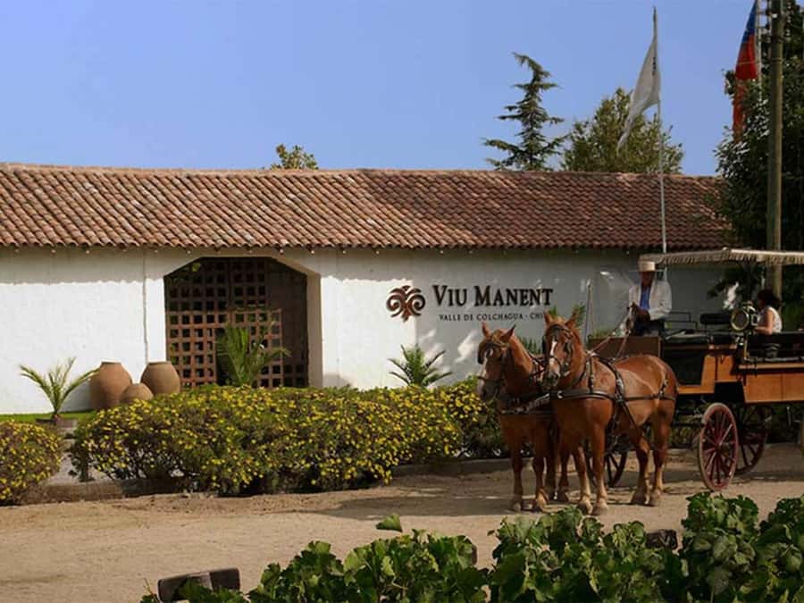 From Santiago: Private Colchagua Valley Wine Tour w/ Tasting - How an 8-hour private Colchagua day runs from Santiago