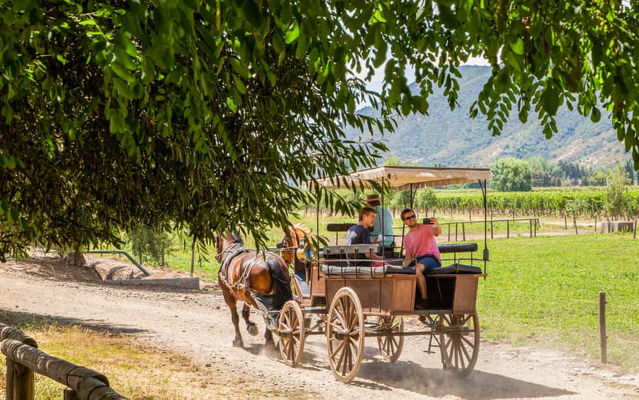 From Santiago: Private Colchagua Valley Wine Tour w/ Tasting - Who this Colchagua Valley tour suits best