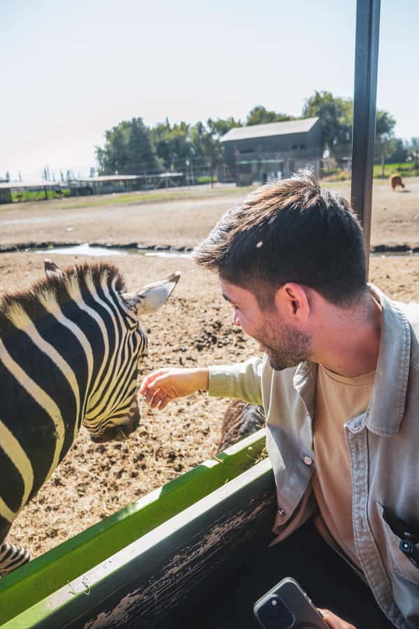 From Santiago: Rancagua Safari Park Zoo - Price and value: is $90 per person worth it?
