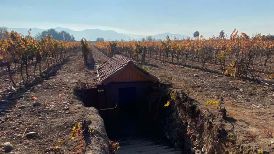 From Santiago: Undurraga Winery Tour with Tasting - Key things to know before you go