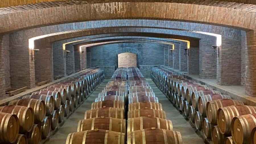 From Santiago: Undurraga Winery Tour with Tasting - Undurraga in the Maipo Valley: the Santa Ana estate and 1885 roots