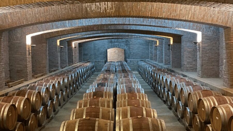 From Santiago: Undurraga Winery Tour with Tasting - Price and value at about $86 per person