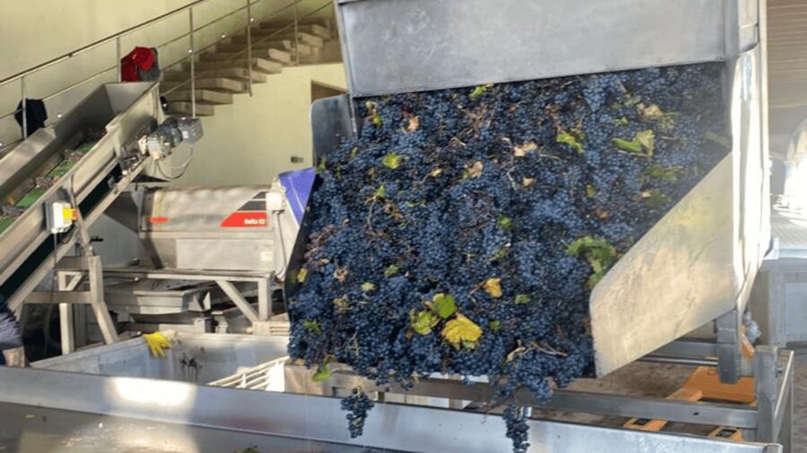 From Santiago: Undurraga Winery Tour with Tasting - Should you book? Best fit, watch-outs, and who should skip it