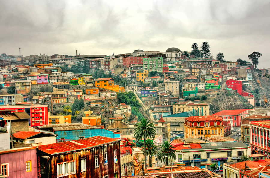 From Santiago: Valparaiso and Viña del Mar Day Tour - Valparaíso on Foot: Squares, Lookouts, and the Hill-Street Magic