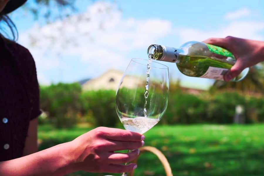 From Santiago: Vineyard, Valparaíso, and Viña del Mar Tour - Key points to know before you go