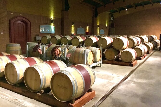 From Valparaiso:Taste 10 Types of Wine in 3 Casablanca’s Vineyard - Back to Valparaíso: timing and what you can still do after