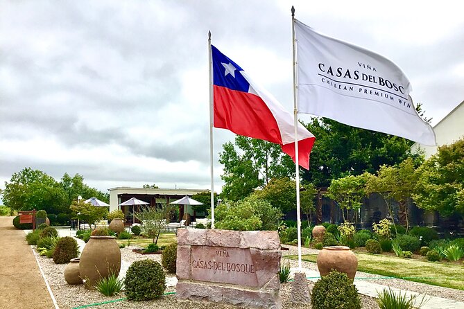 From Valparaiso:Taste 10 Types of Wine in 3 Casablanca’s Vineyard - Buying wine and shipping: ask before you commit