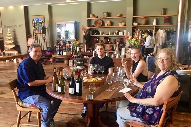 From Valparaiso:Taste 10 Types of Wine in 3 Casablanca’s Vineyard - Casas del Bosque: vineyard walk, cellar, barrel room, and four wines